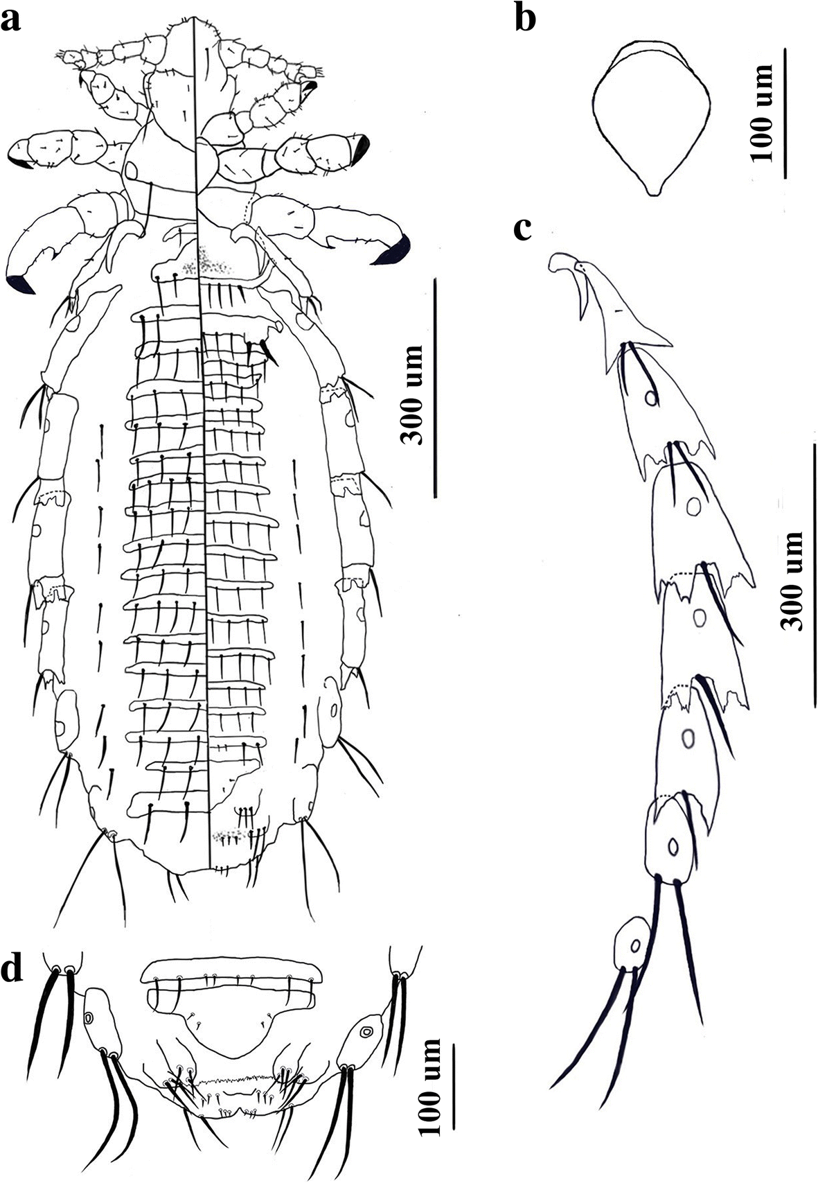 Fig. 2