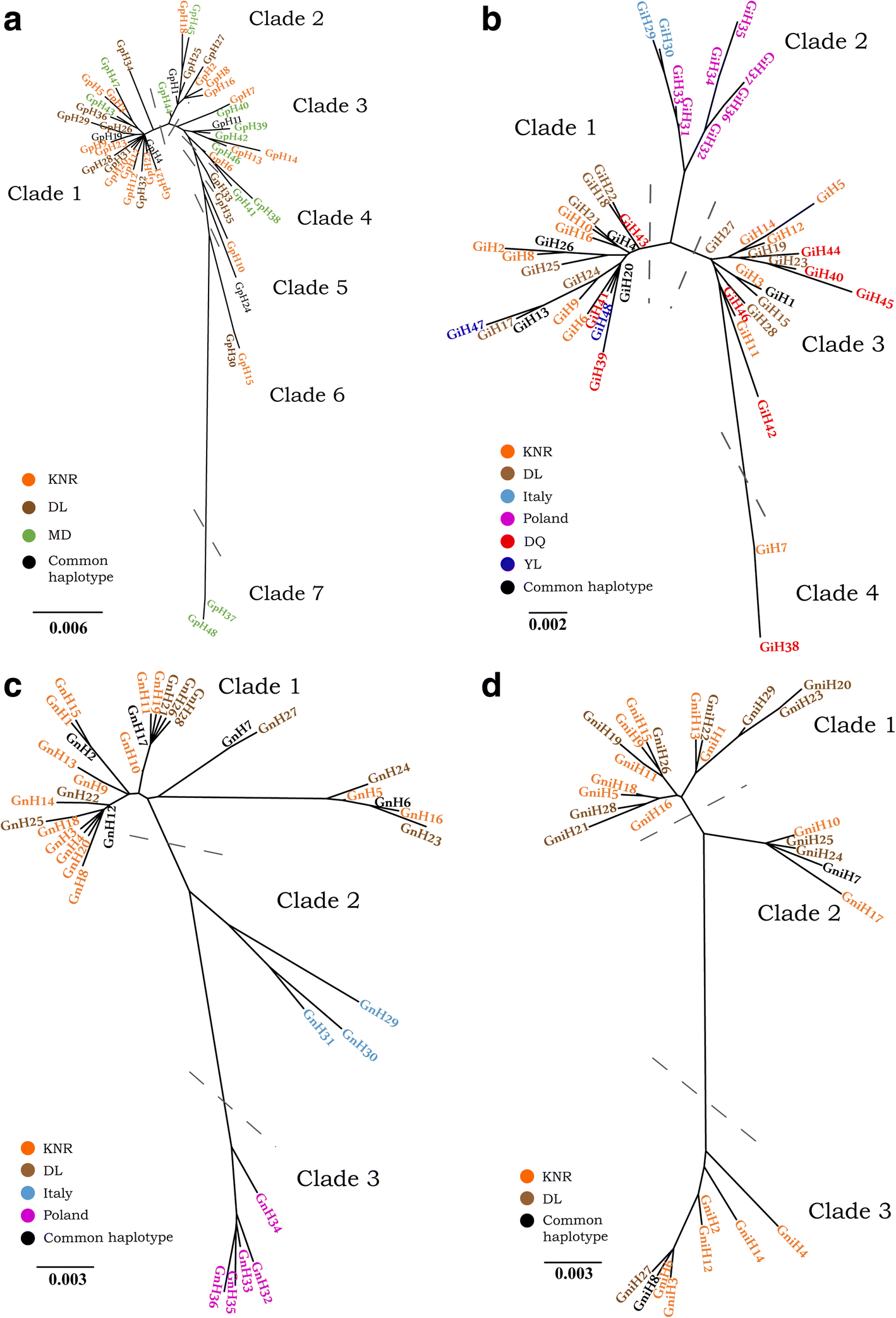 Fig. 5