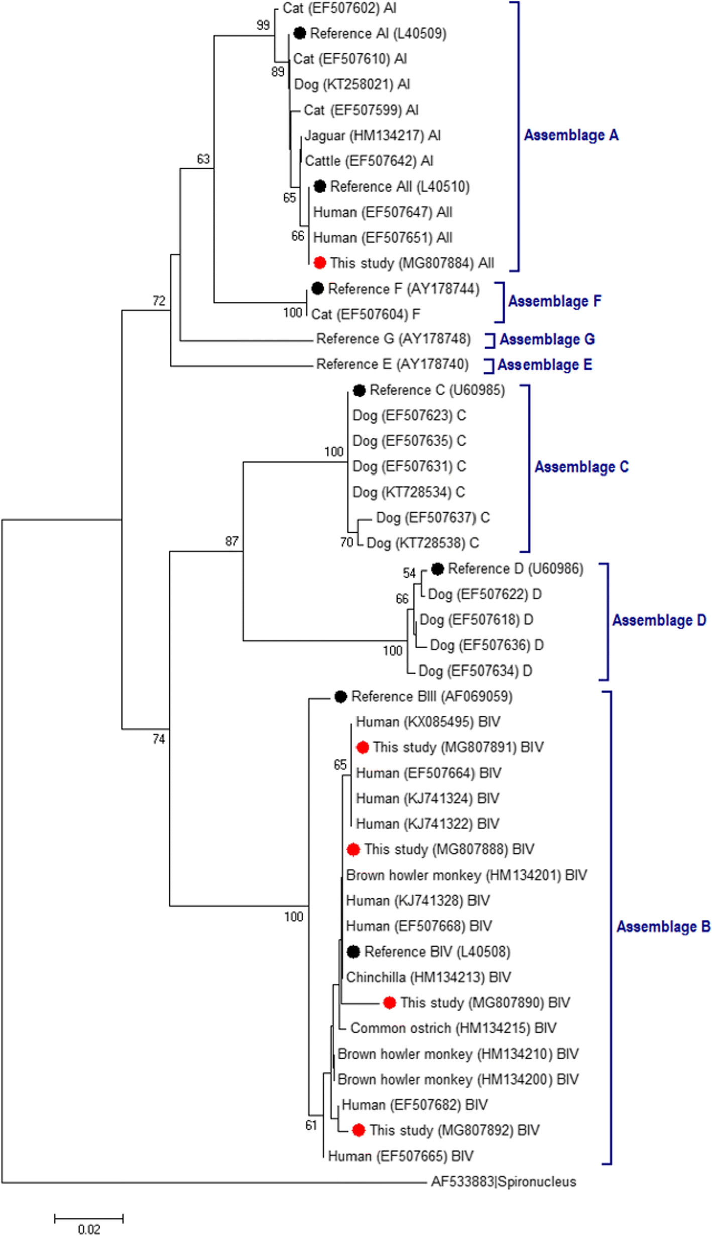 Fig. 4