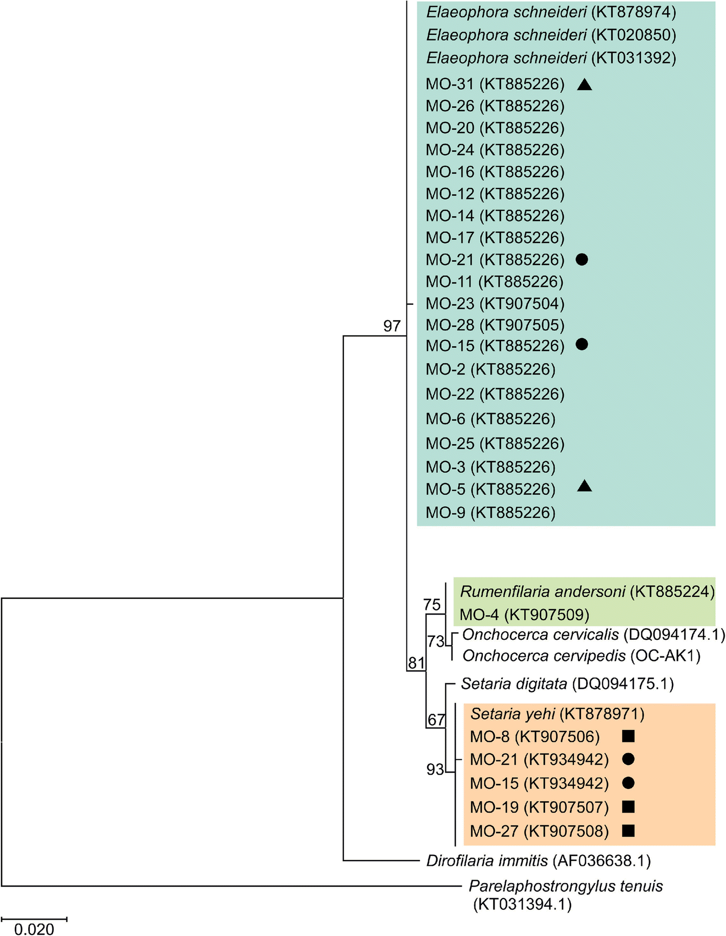 Fig. 2