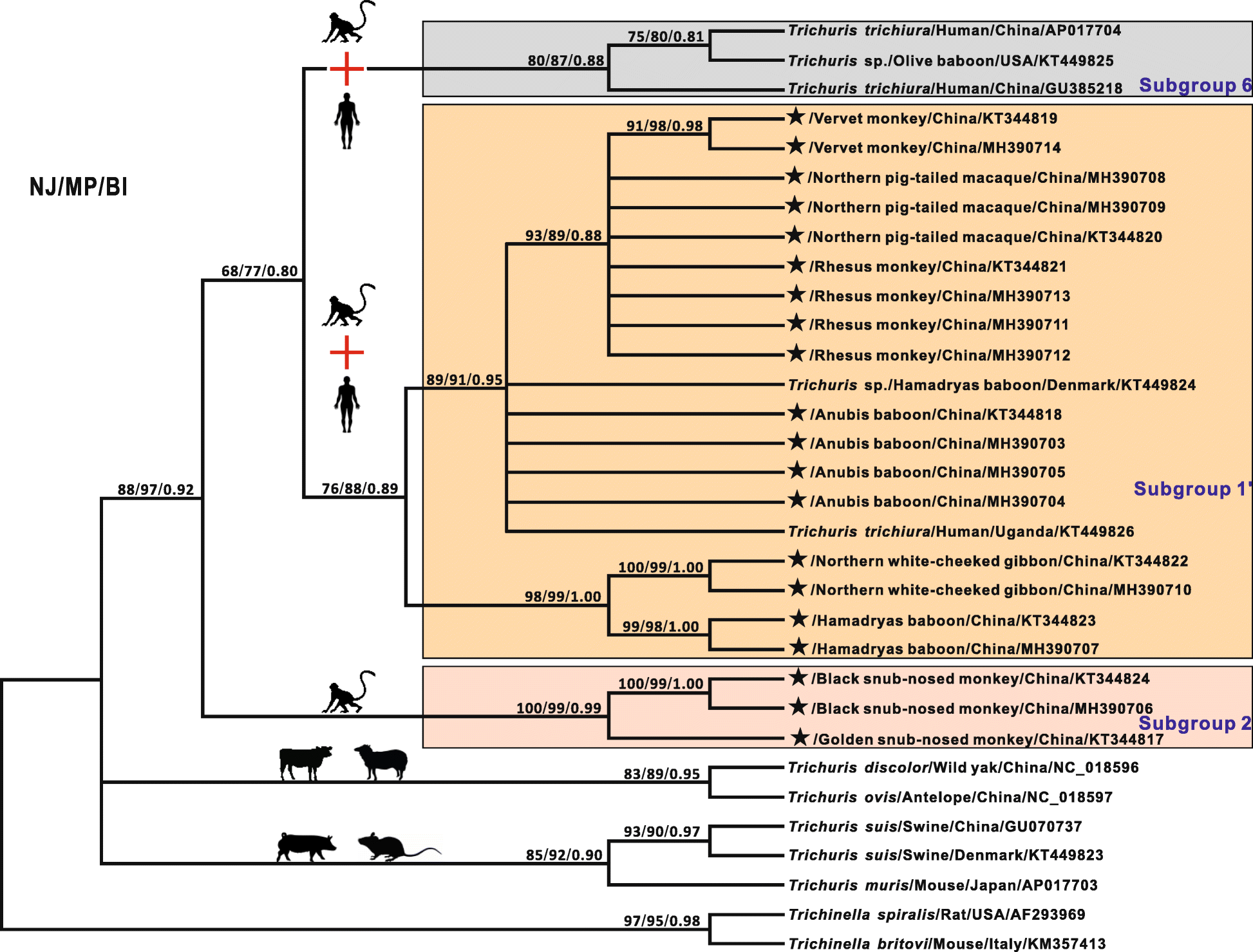 Fig. 3