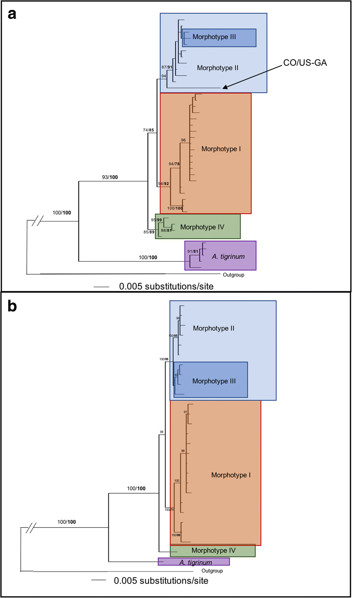 Fig. 7