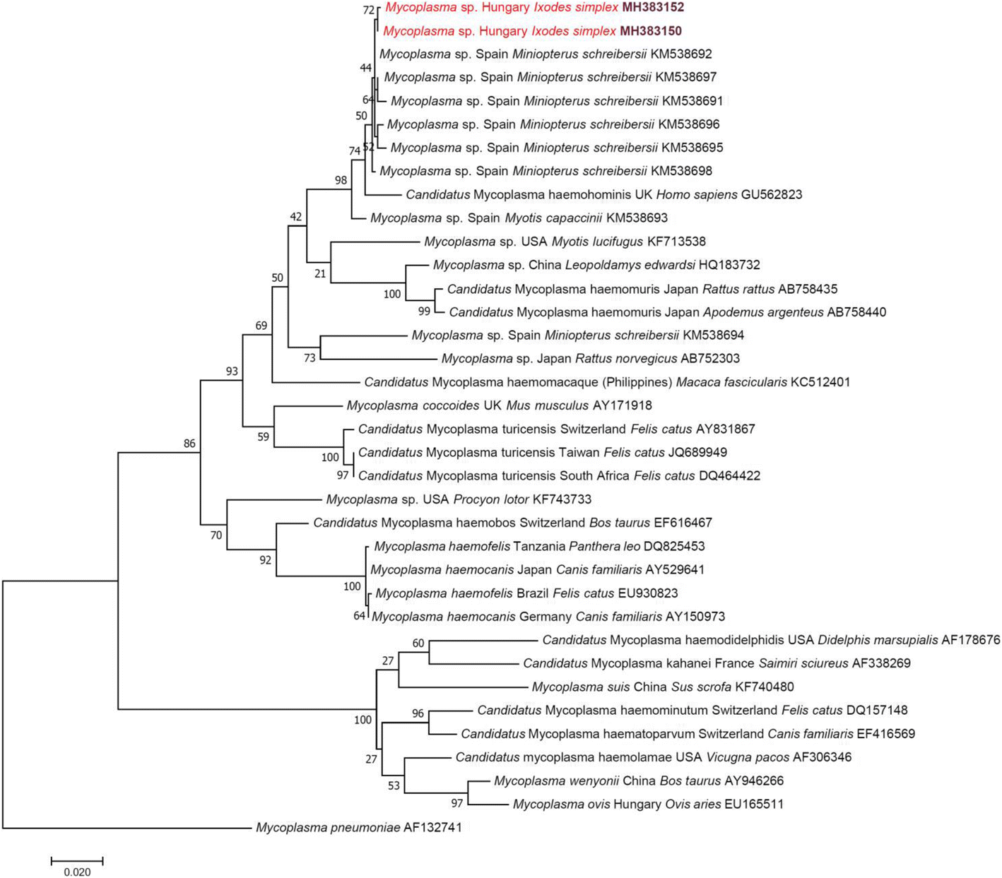 Fig. 2