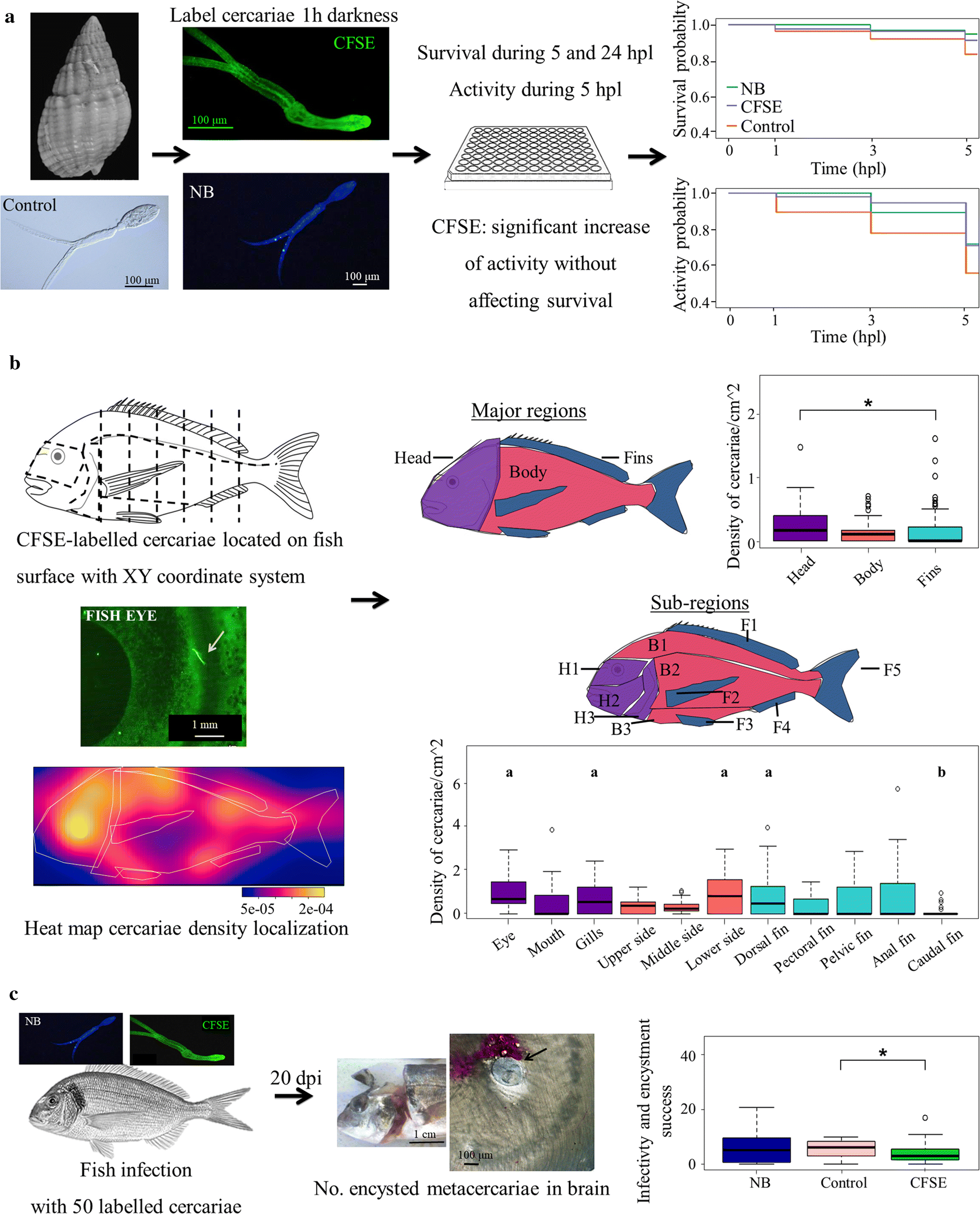 Fig. 1