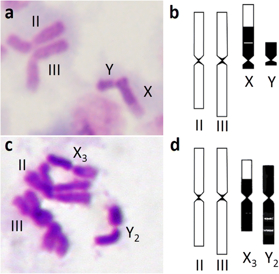 Fig. 6