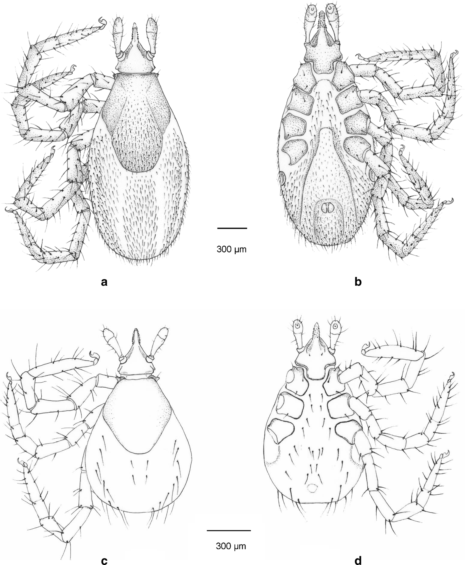 Fig. 5