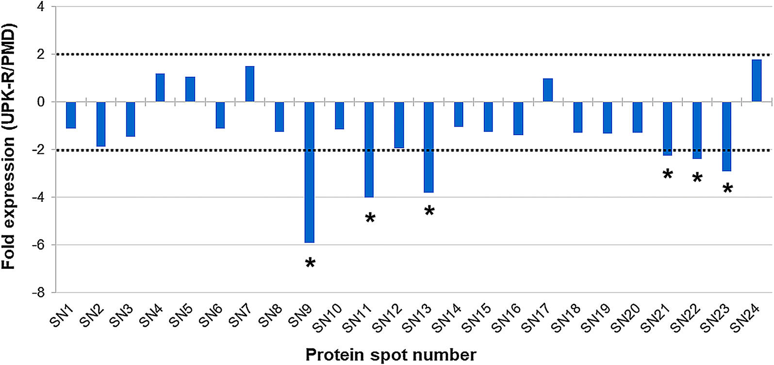 Fig. 4