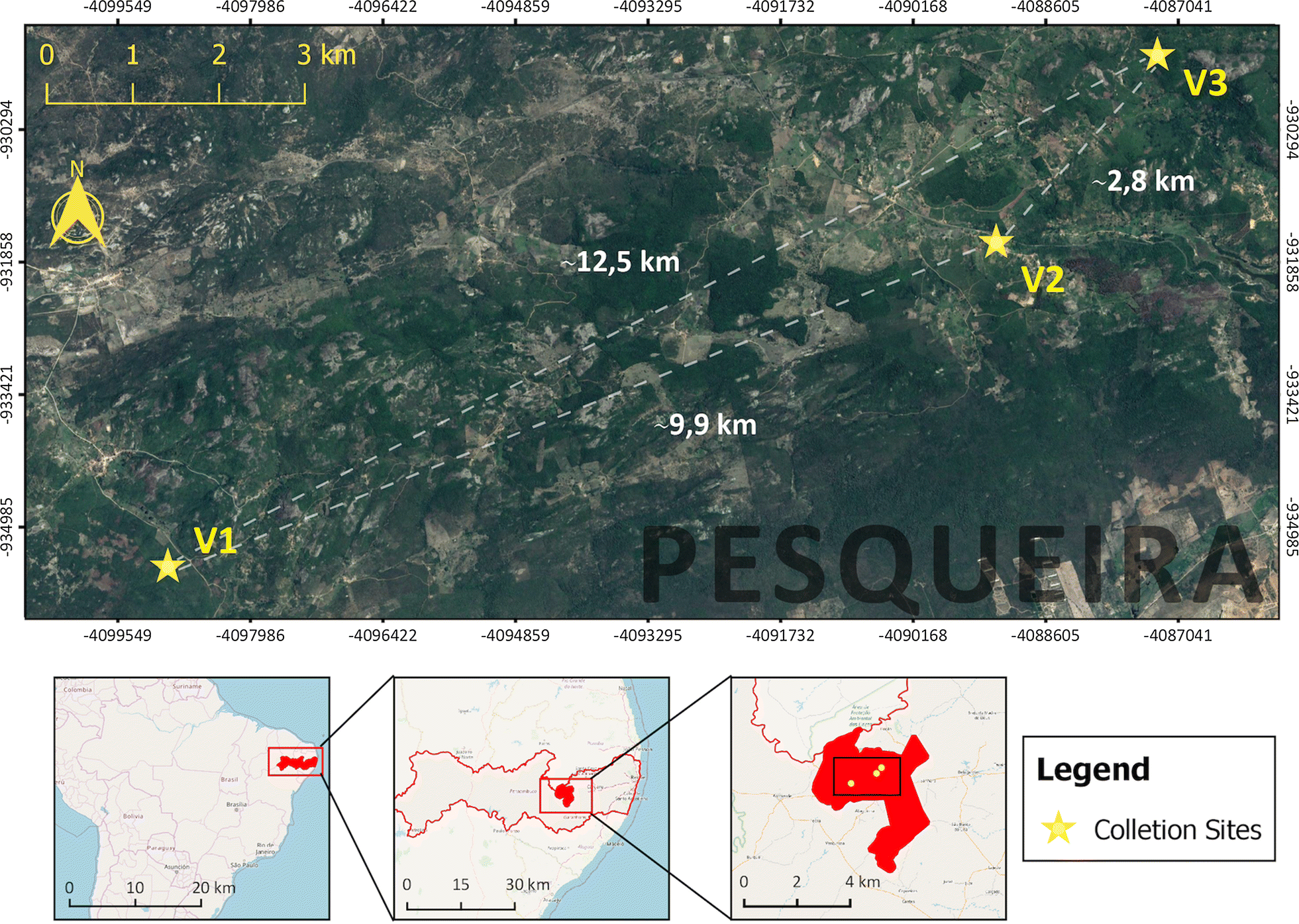 Fig. 1