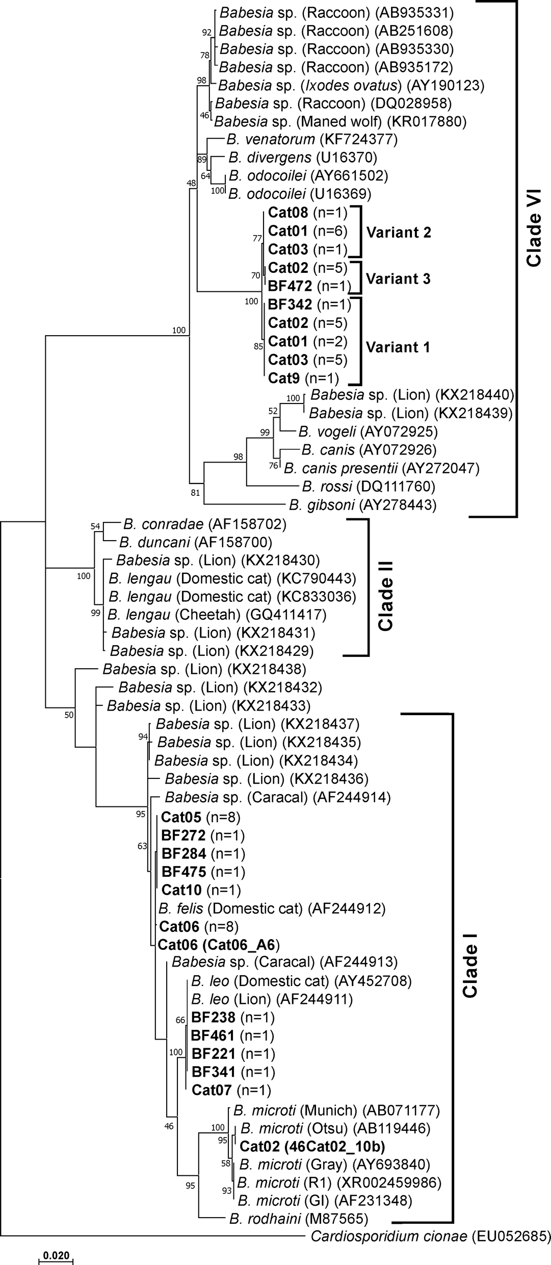 Fig. 5