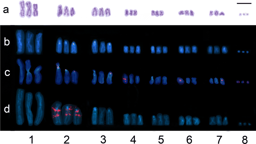 Fig. 1