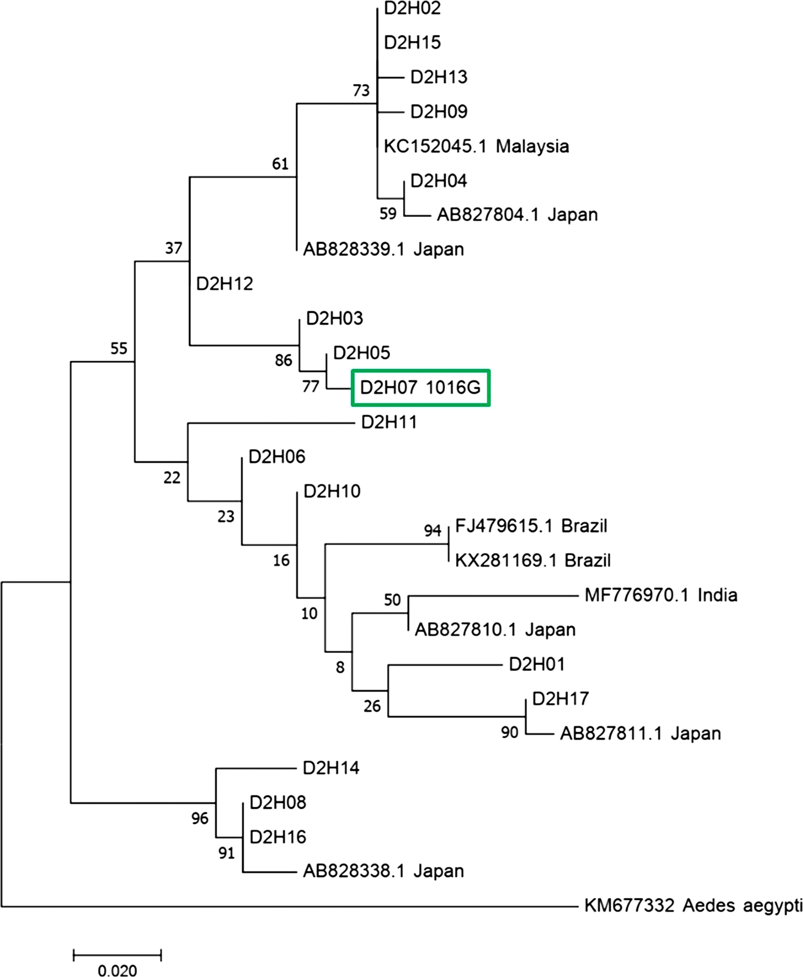 Fig. 6