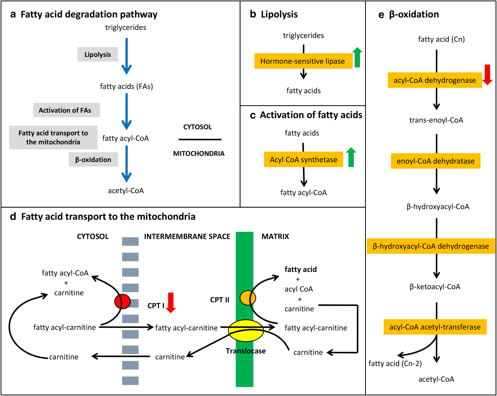 Fig. 3