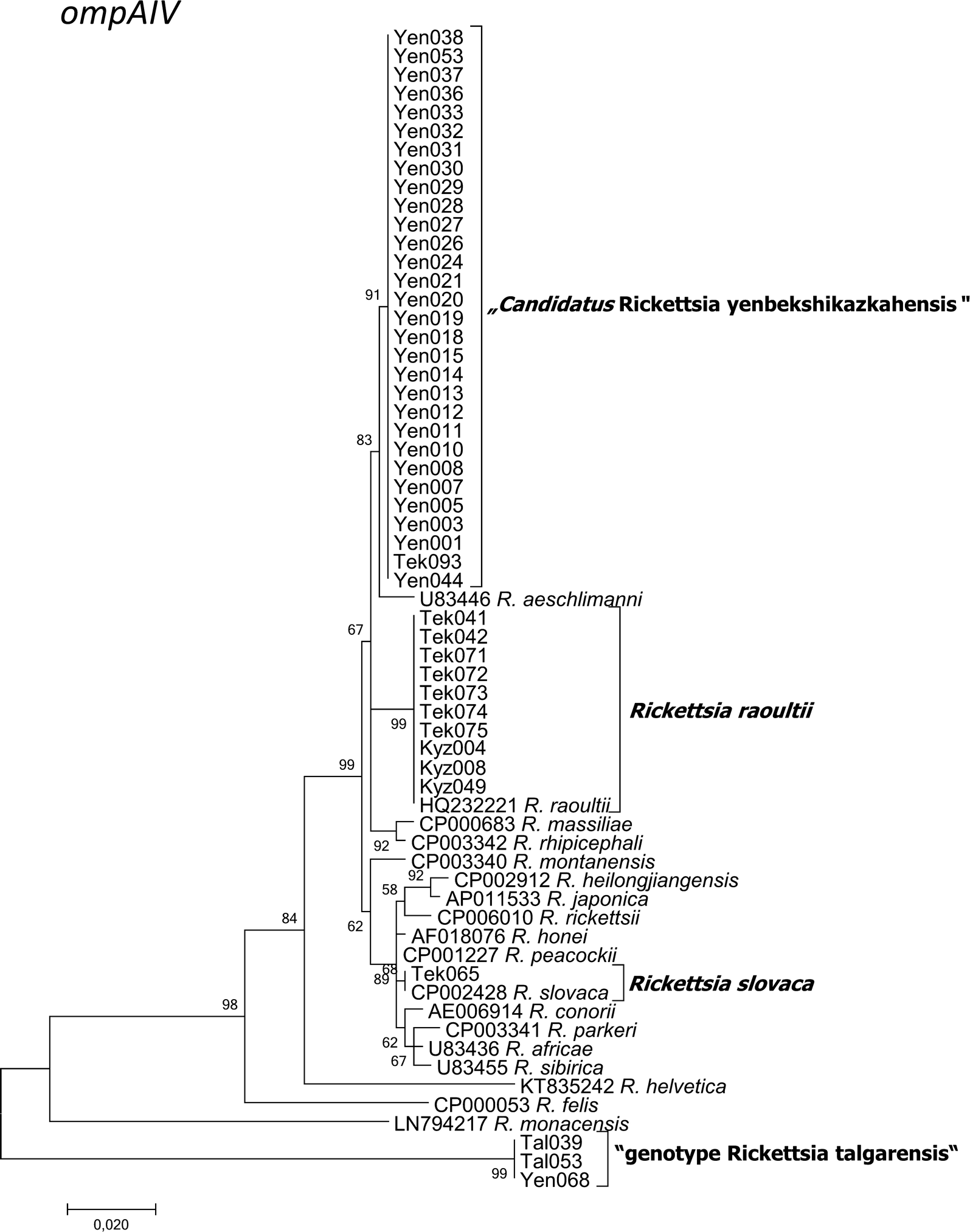 Fig. 4