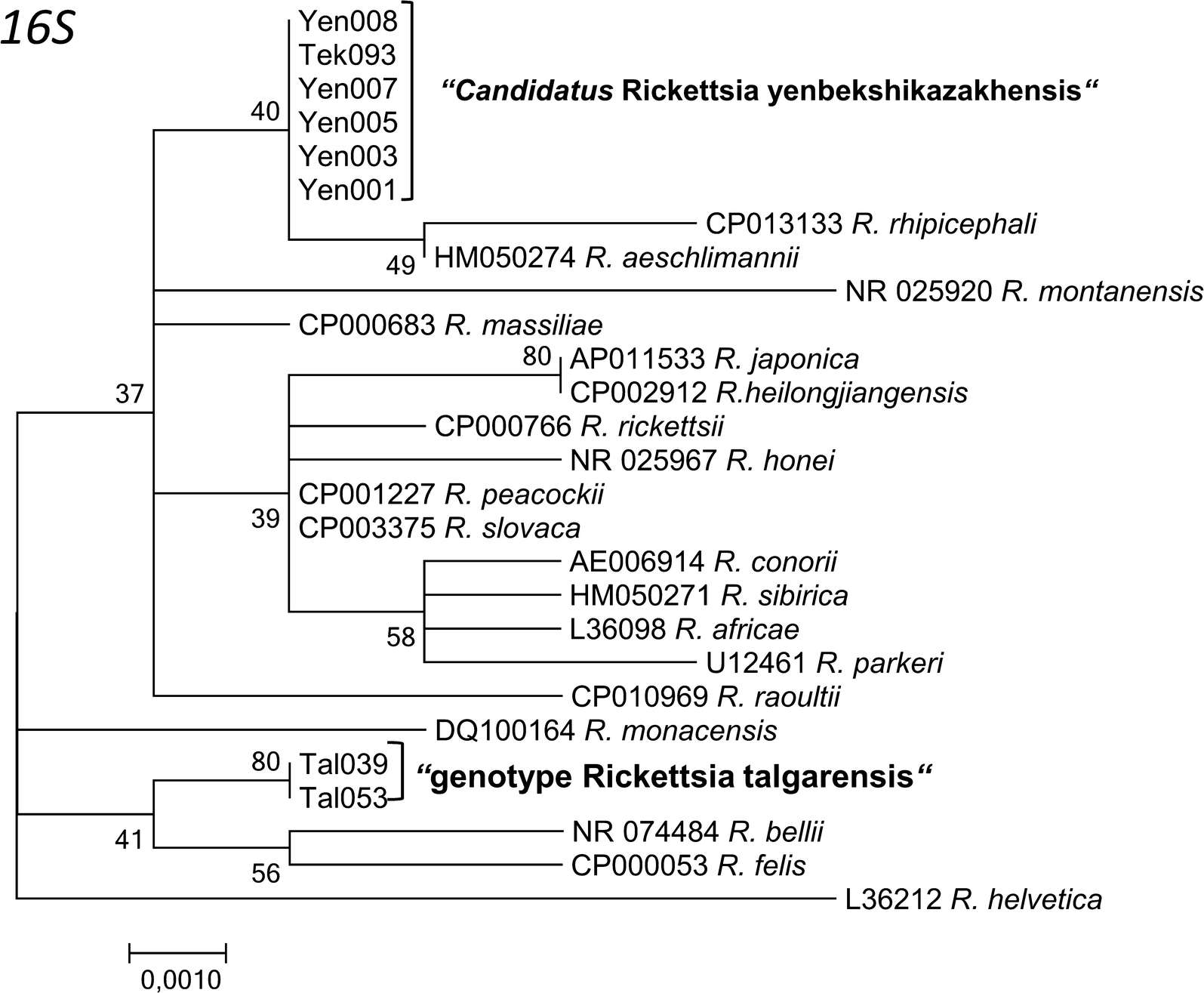 Fig. 6