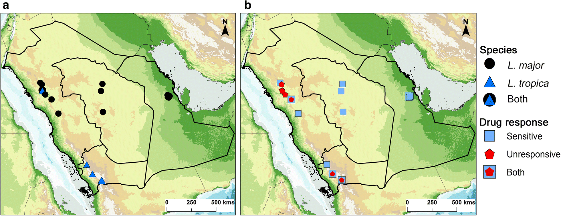 Fig. 1