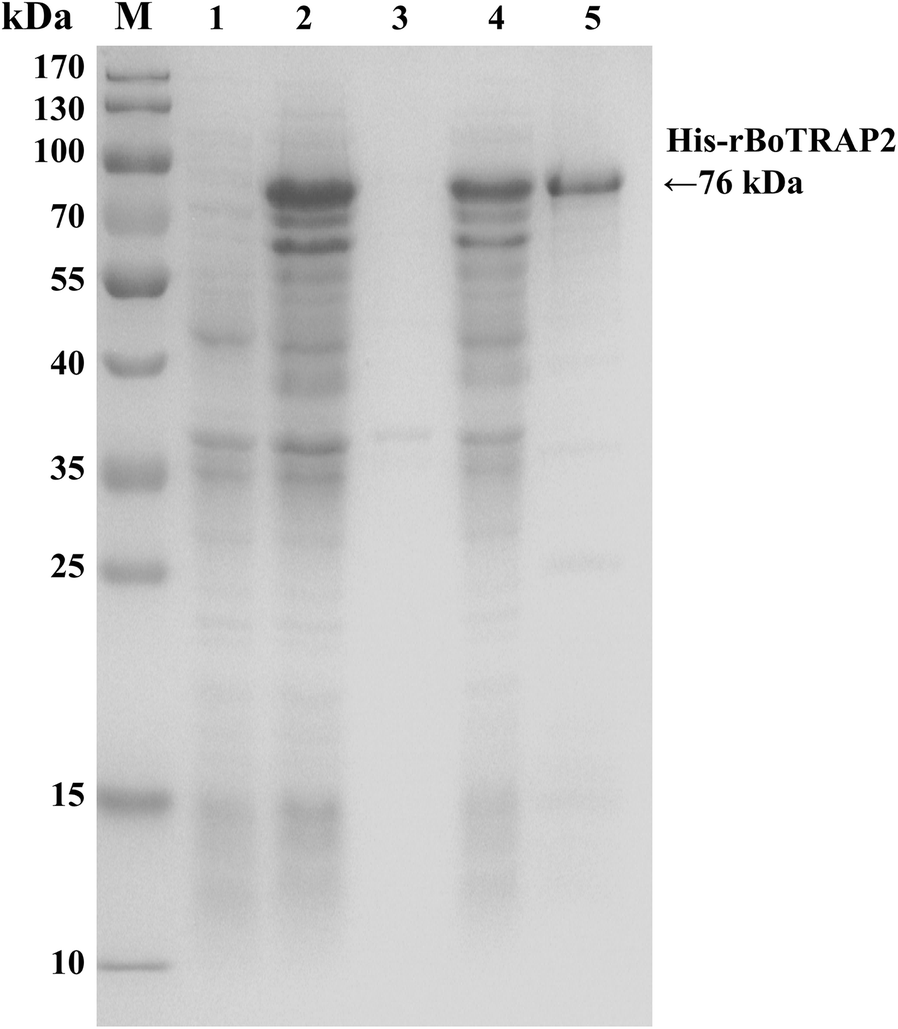 Fig. 3