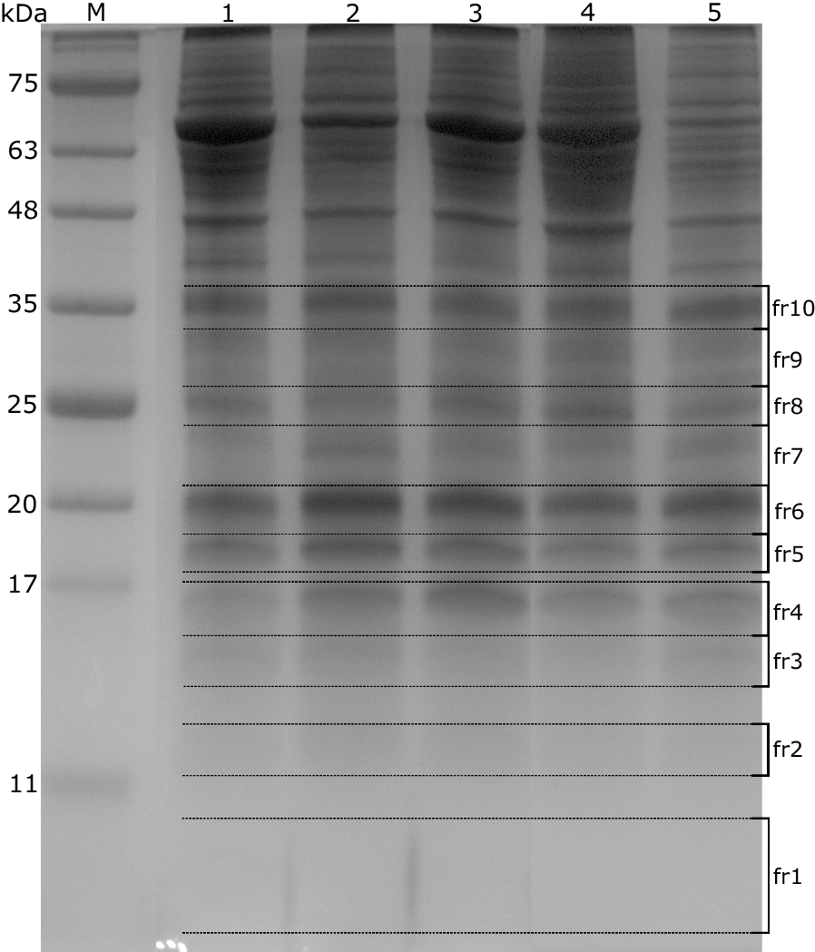 Fig. 5