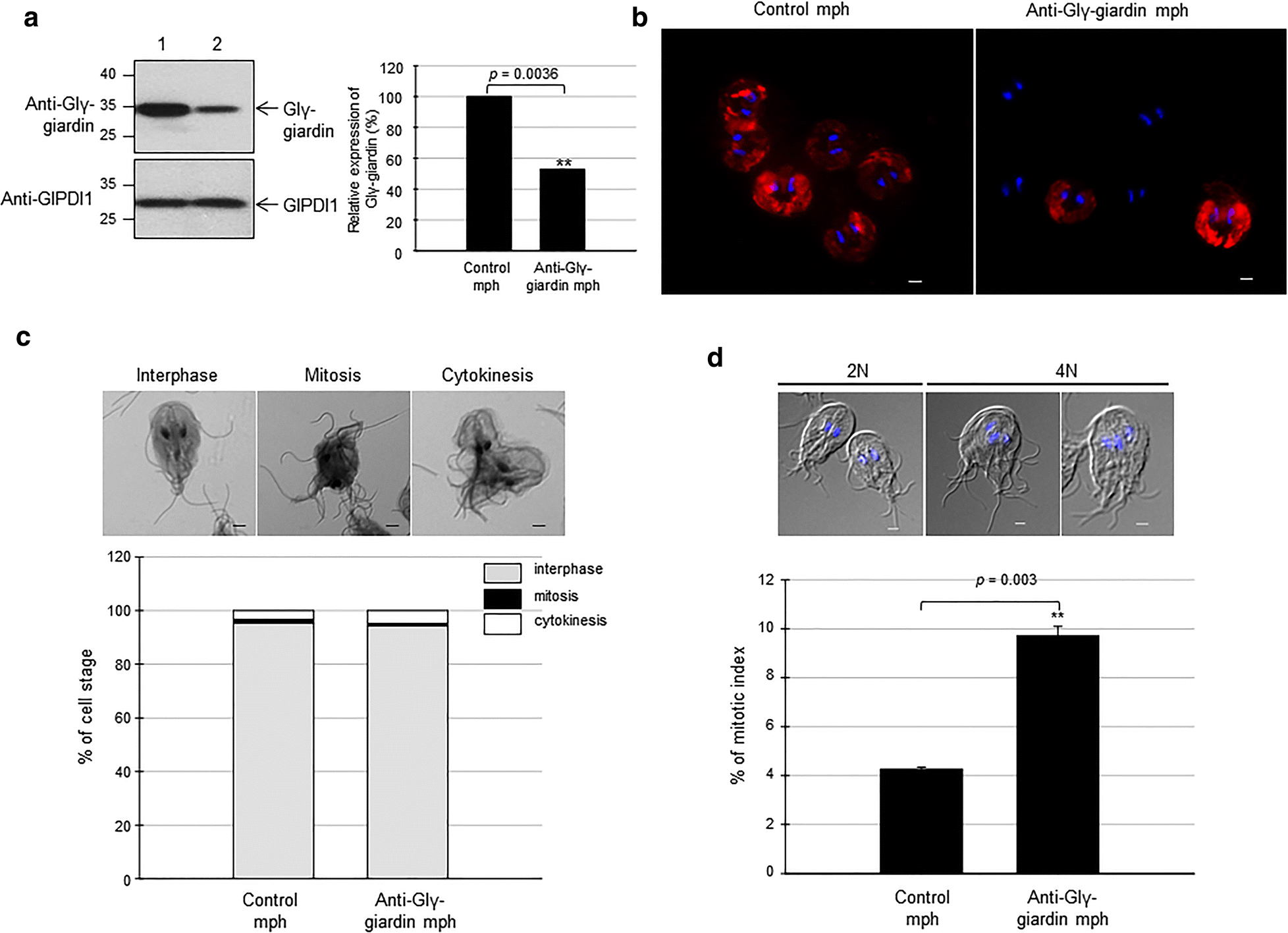 Fig. 4