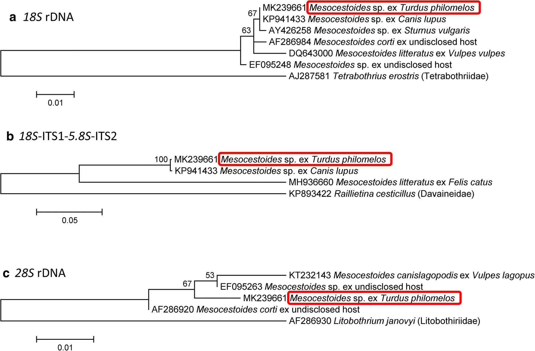 Fig. 3