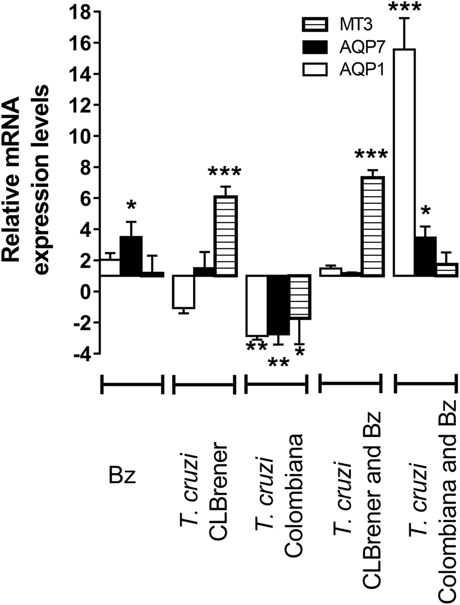 Fig. 3