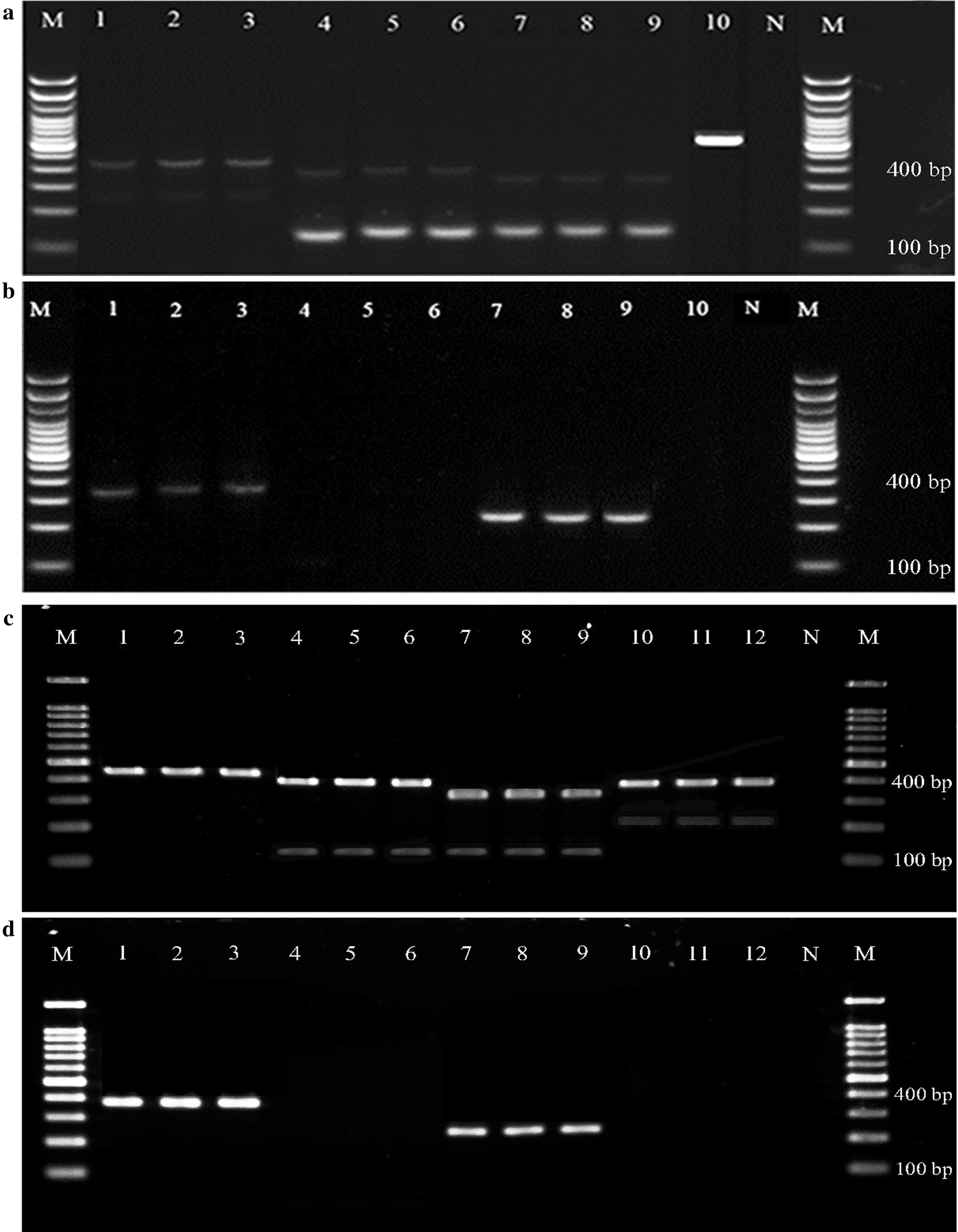 Fig. 4