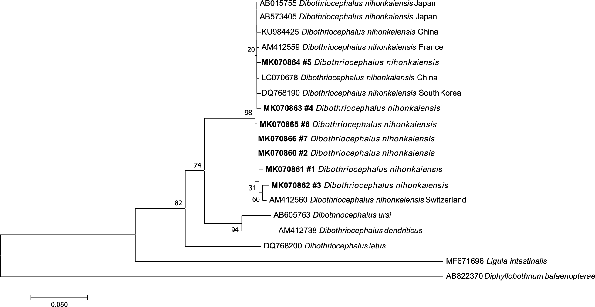 Fig. 2