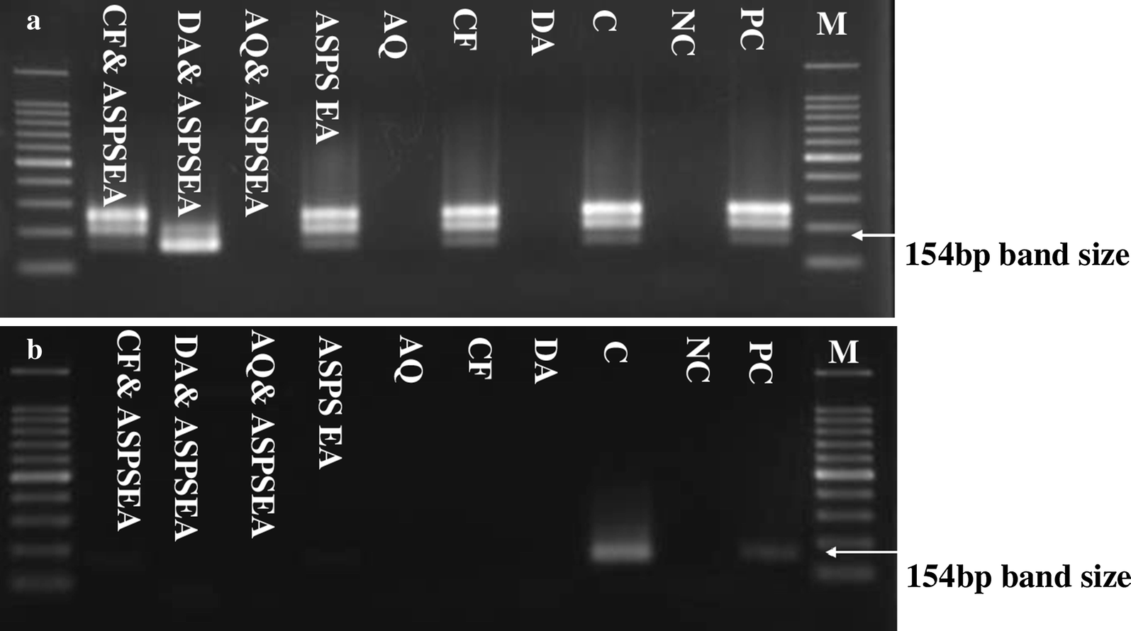 Fig. 6