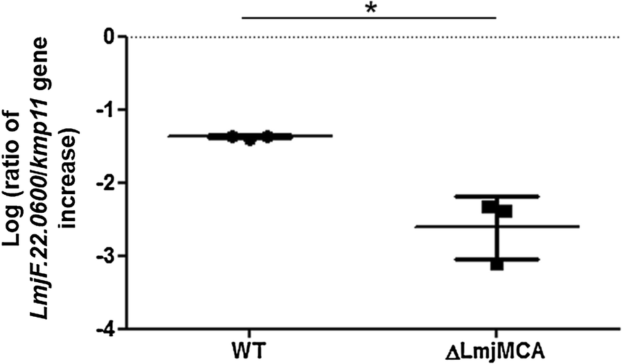 Fig. 4