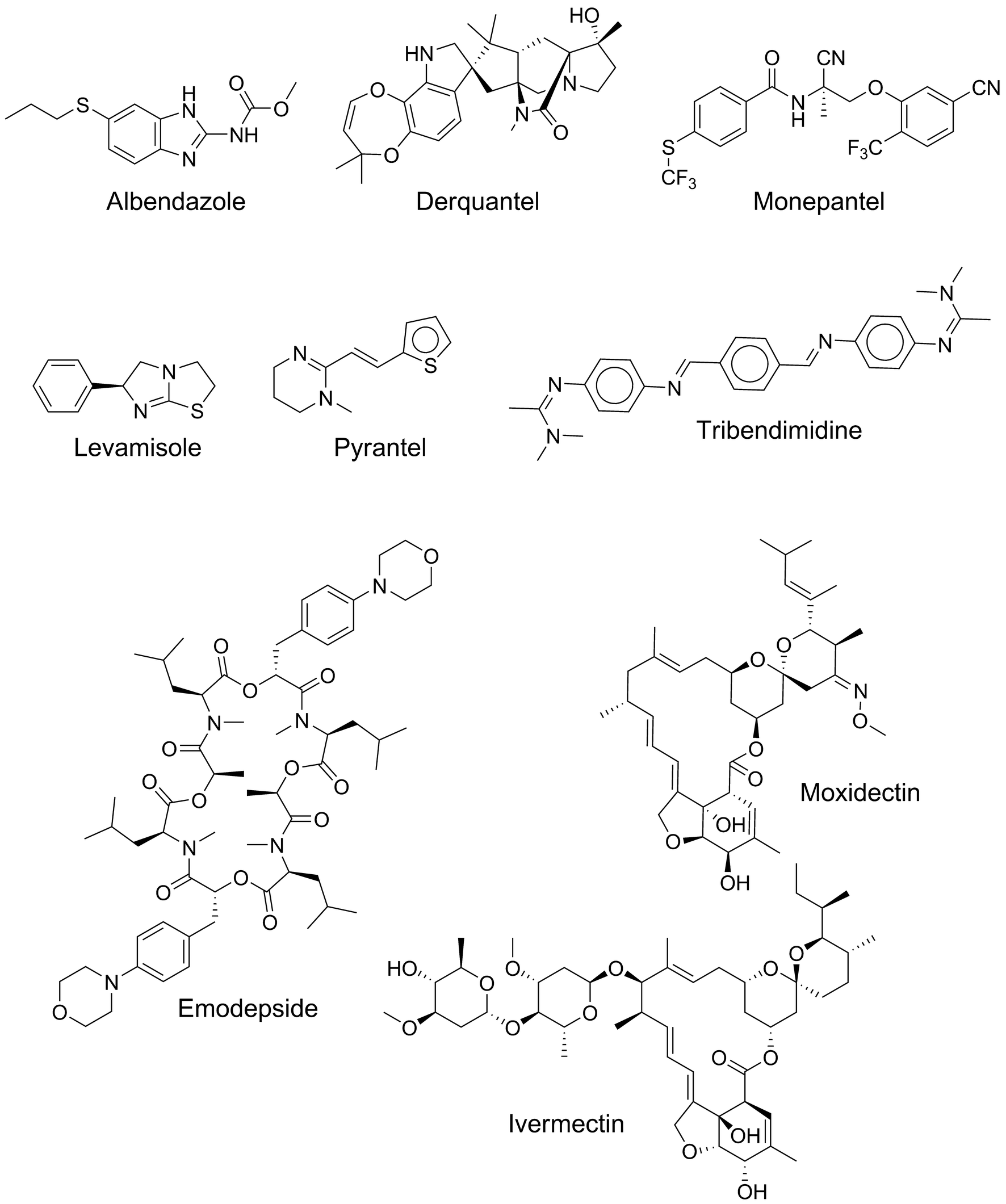 Fig. 1