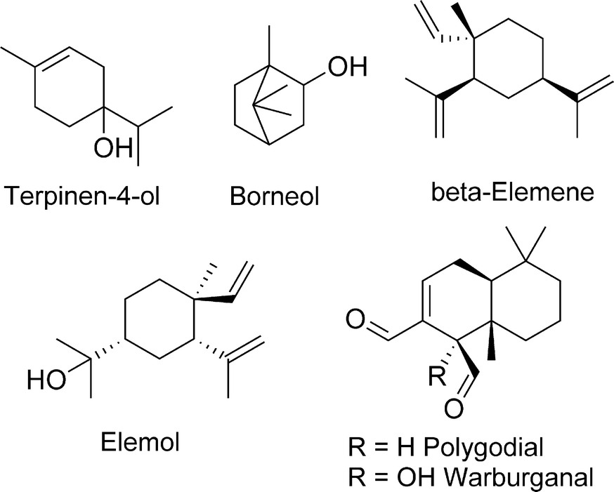 Fig. 5