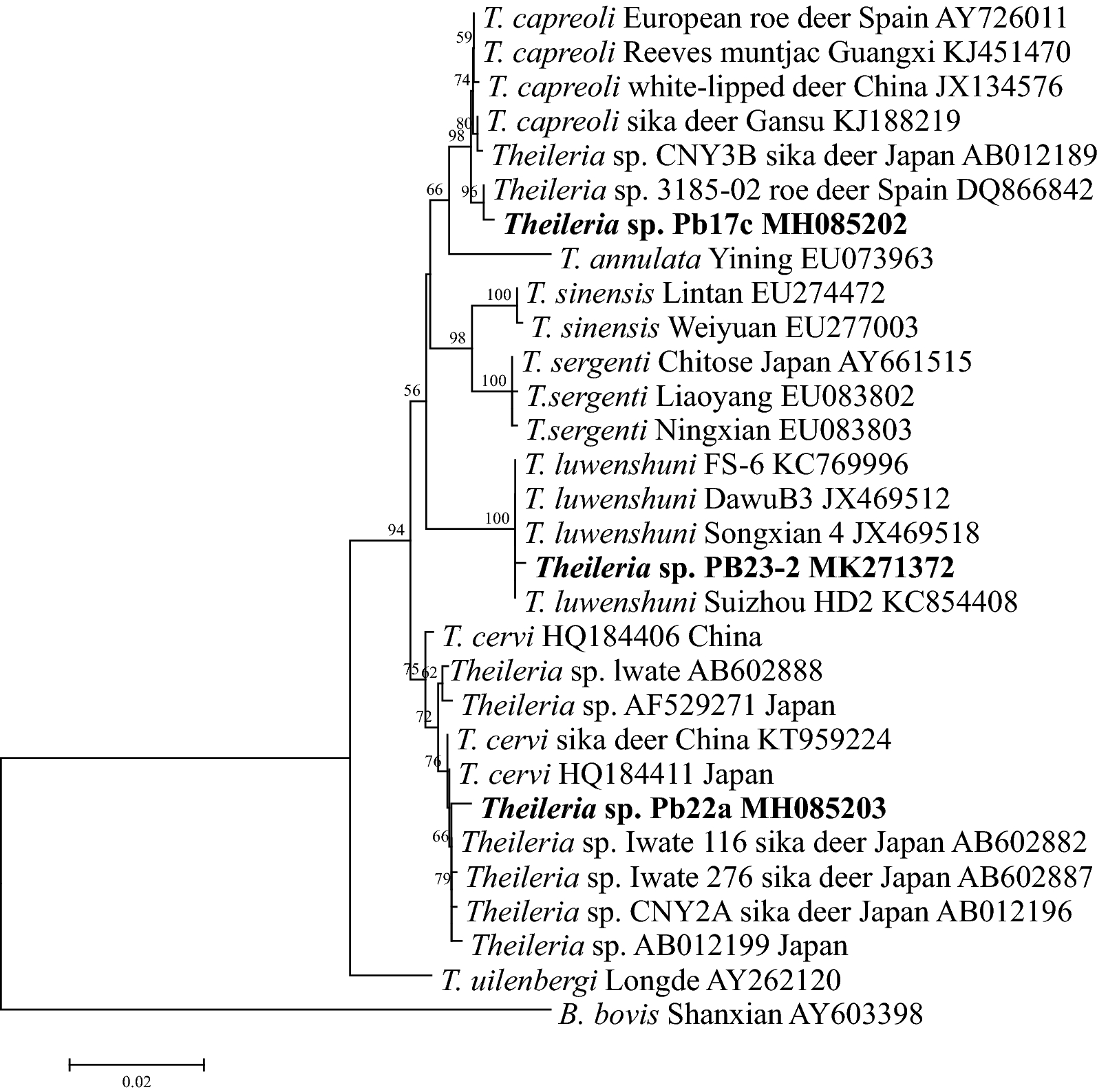 Fig. 1