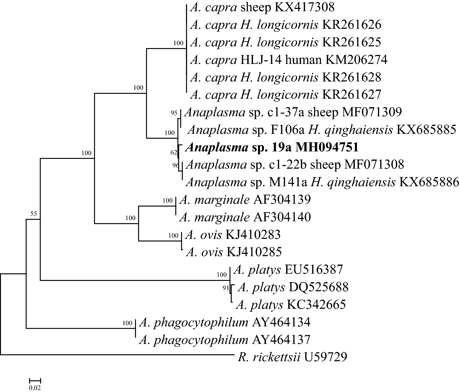 Fig. 3