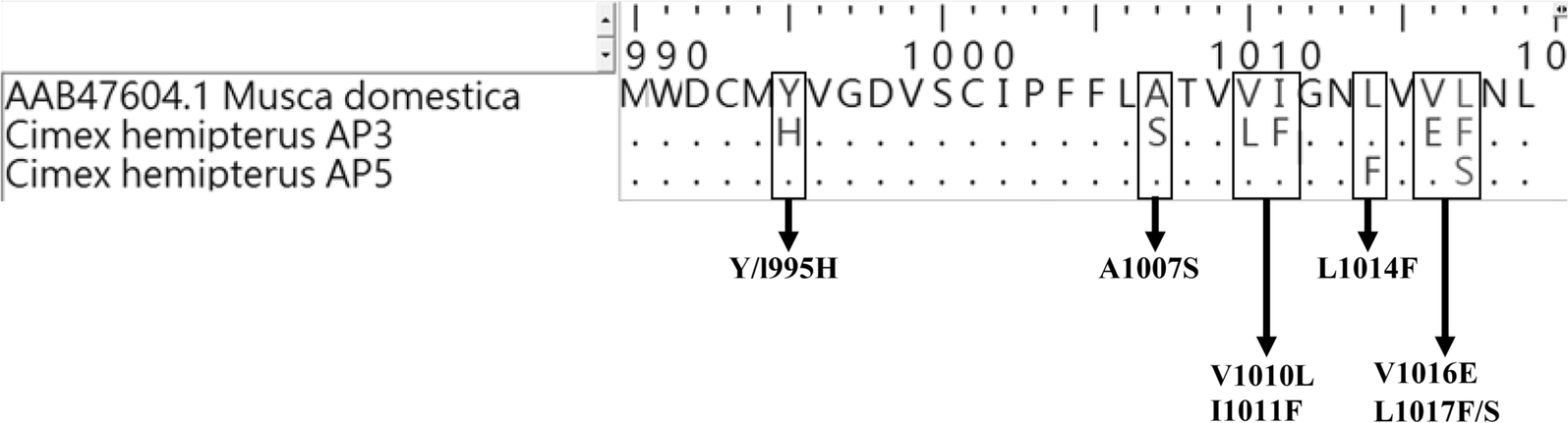 Fig. 5