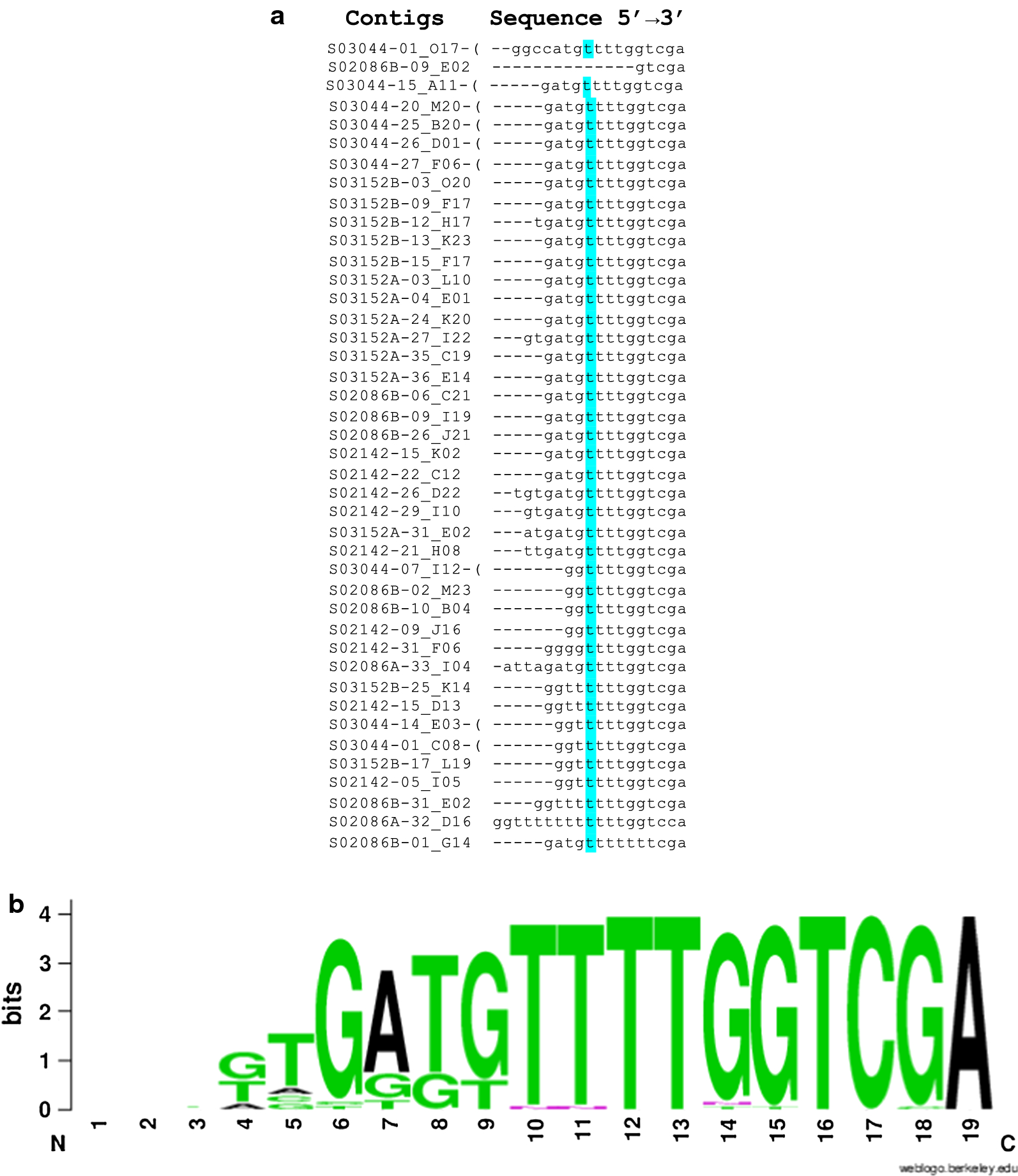 Fig. 2