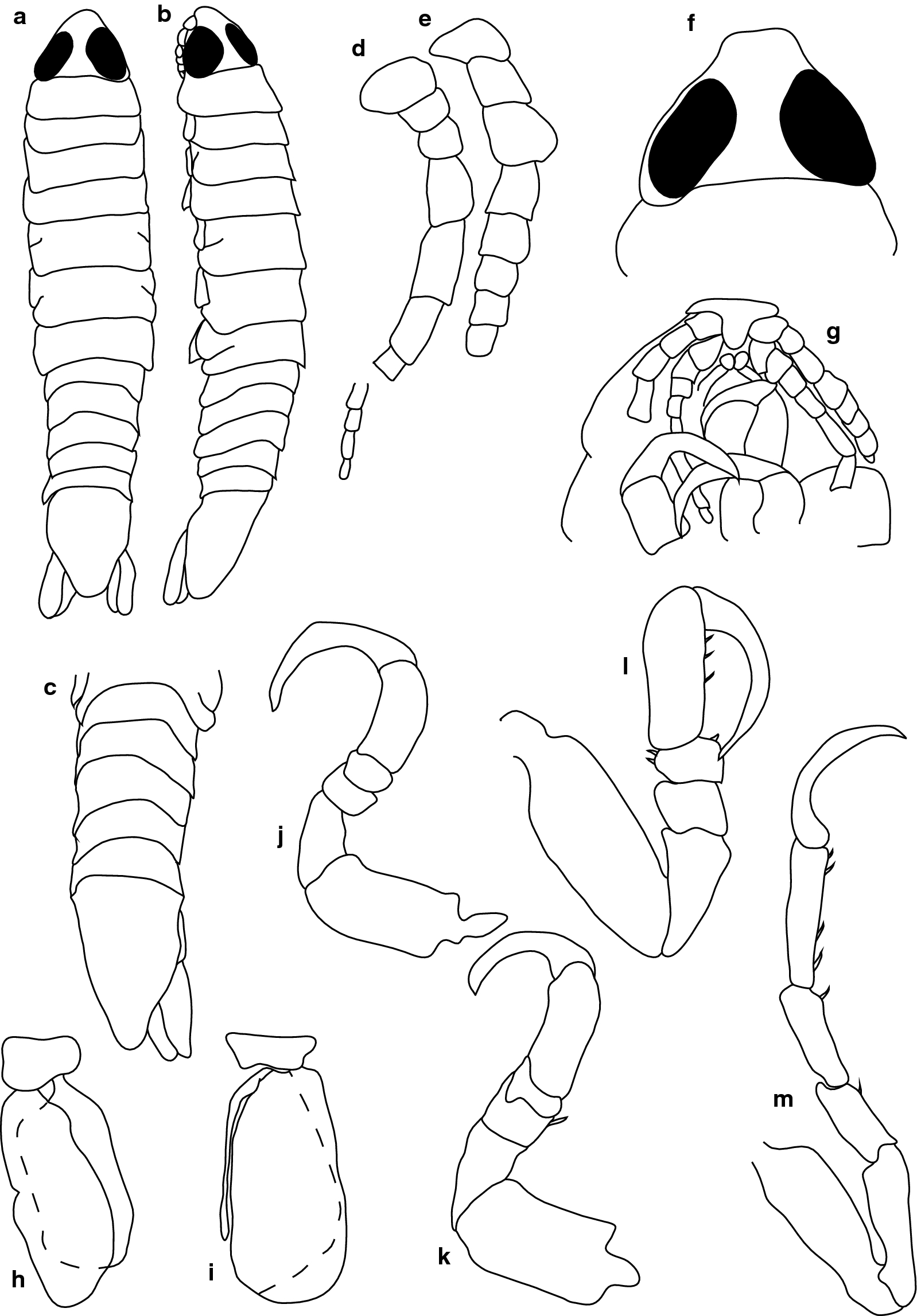 Fig. 14