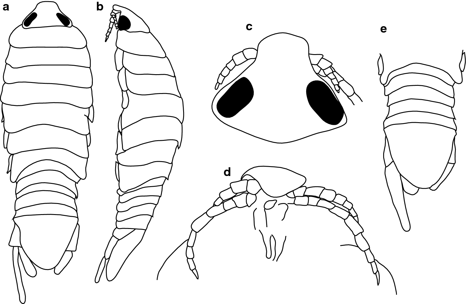 Fig. 18