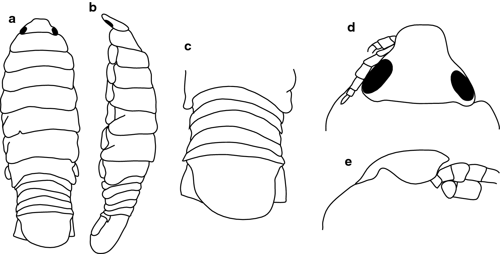 Fig. 2