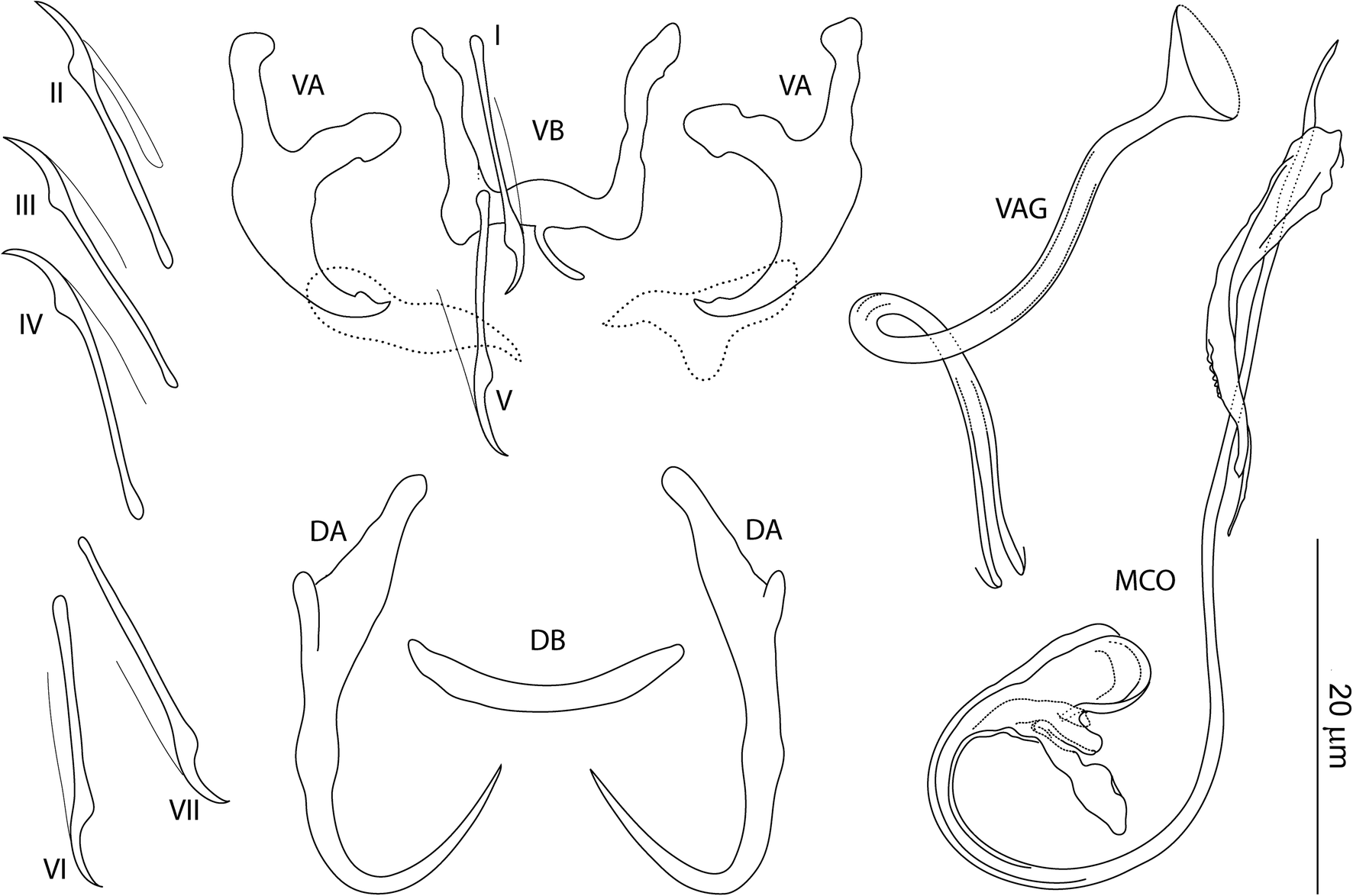 Fig. 3