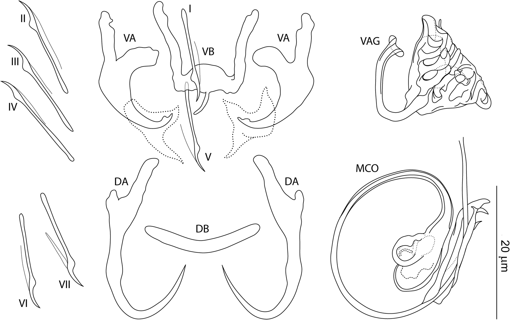 Fig. 4