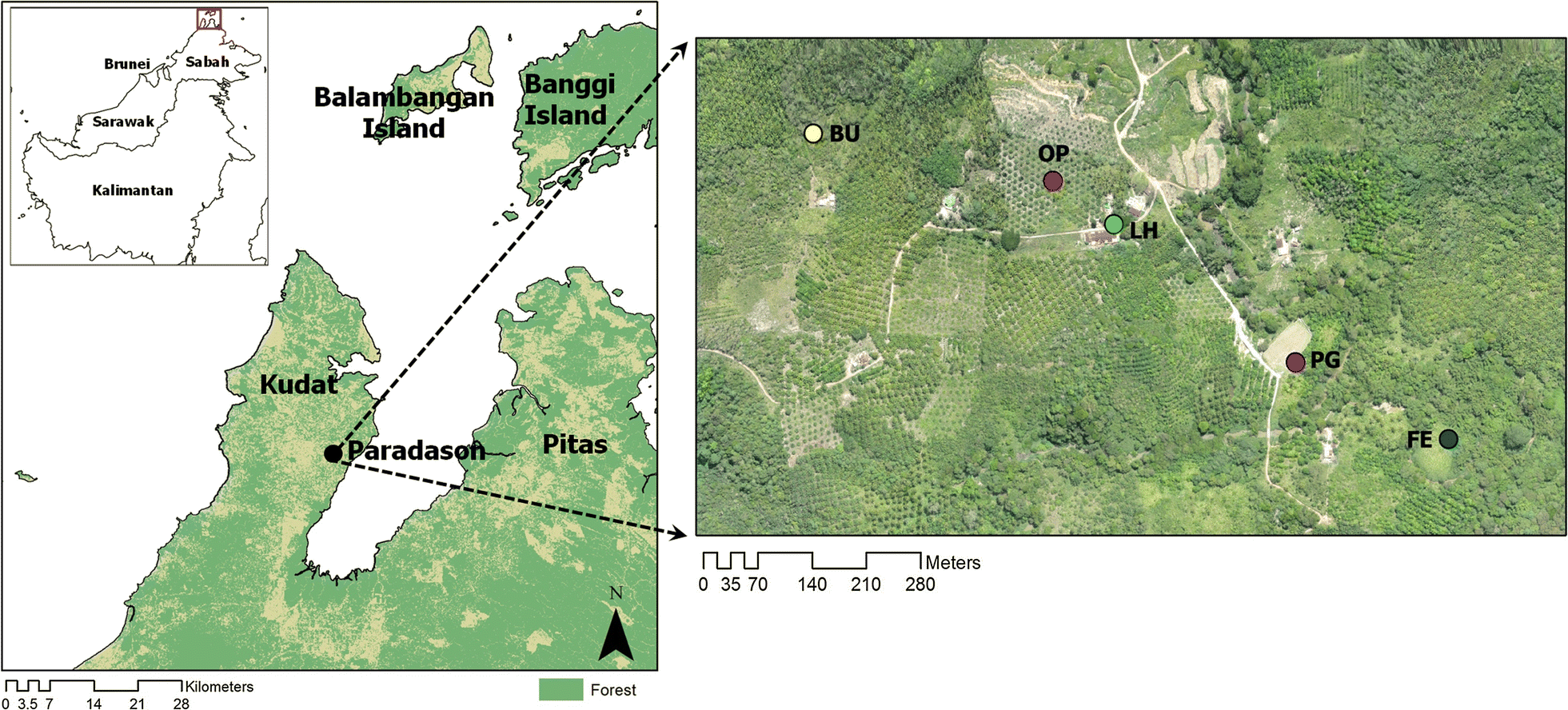 Fig. 1