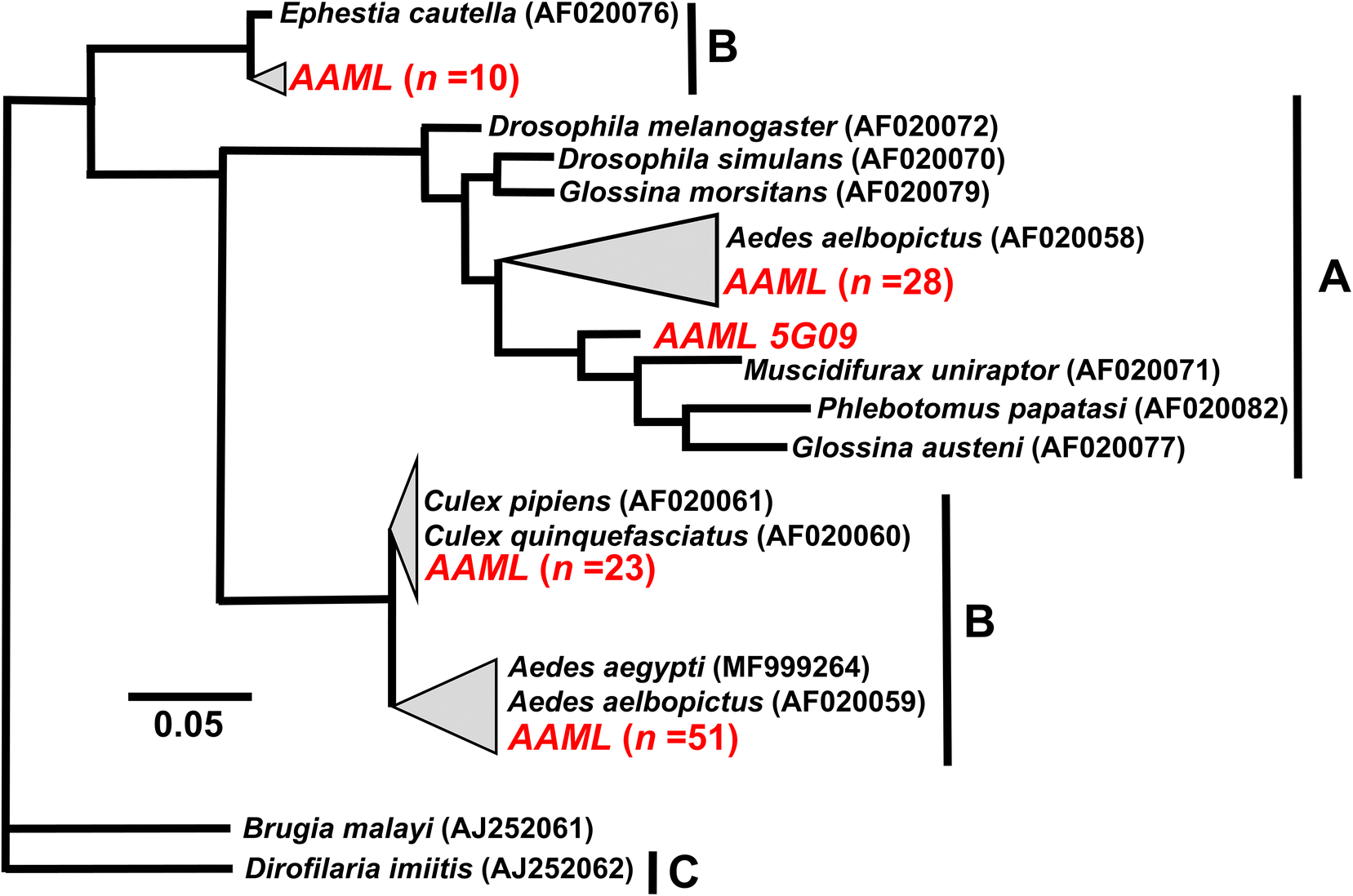 Fig. 2