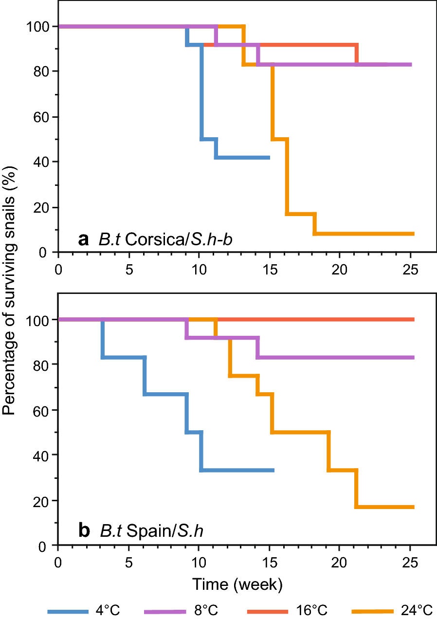 Fig. 4