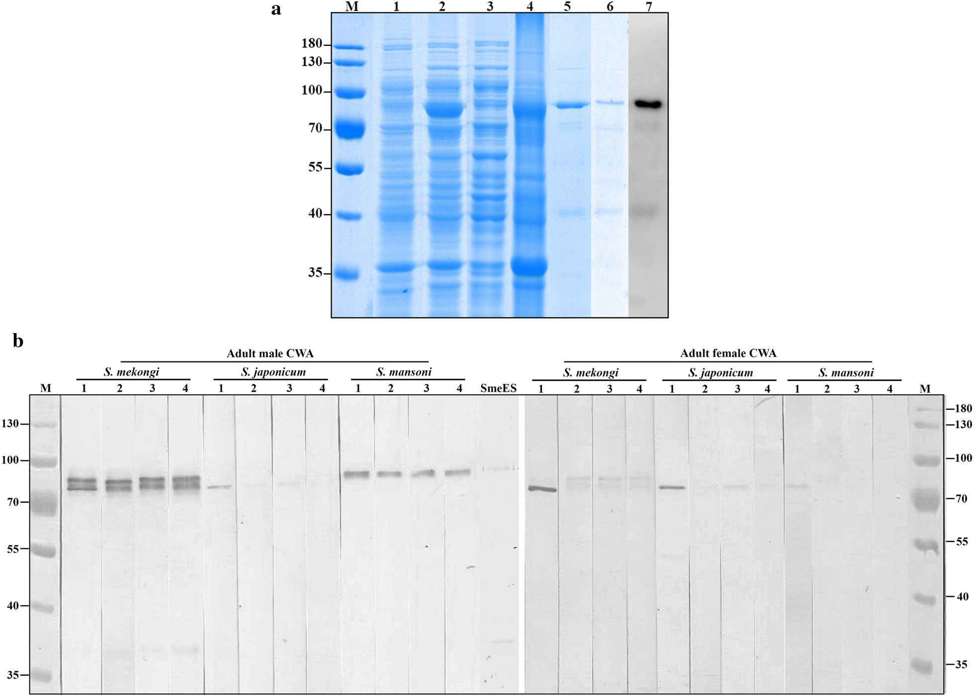 Fig. 4