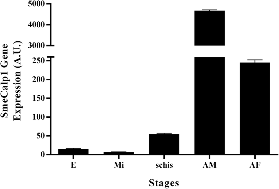 Fig. 5