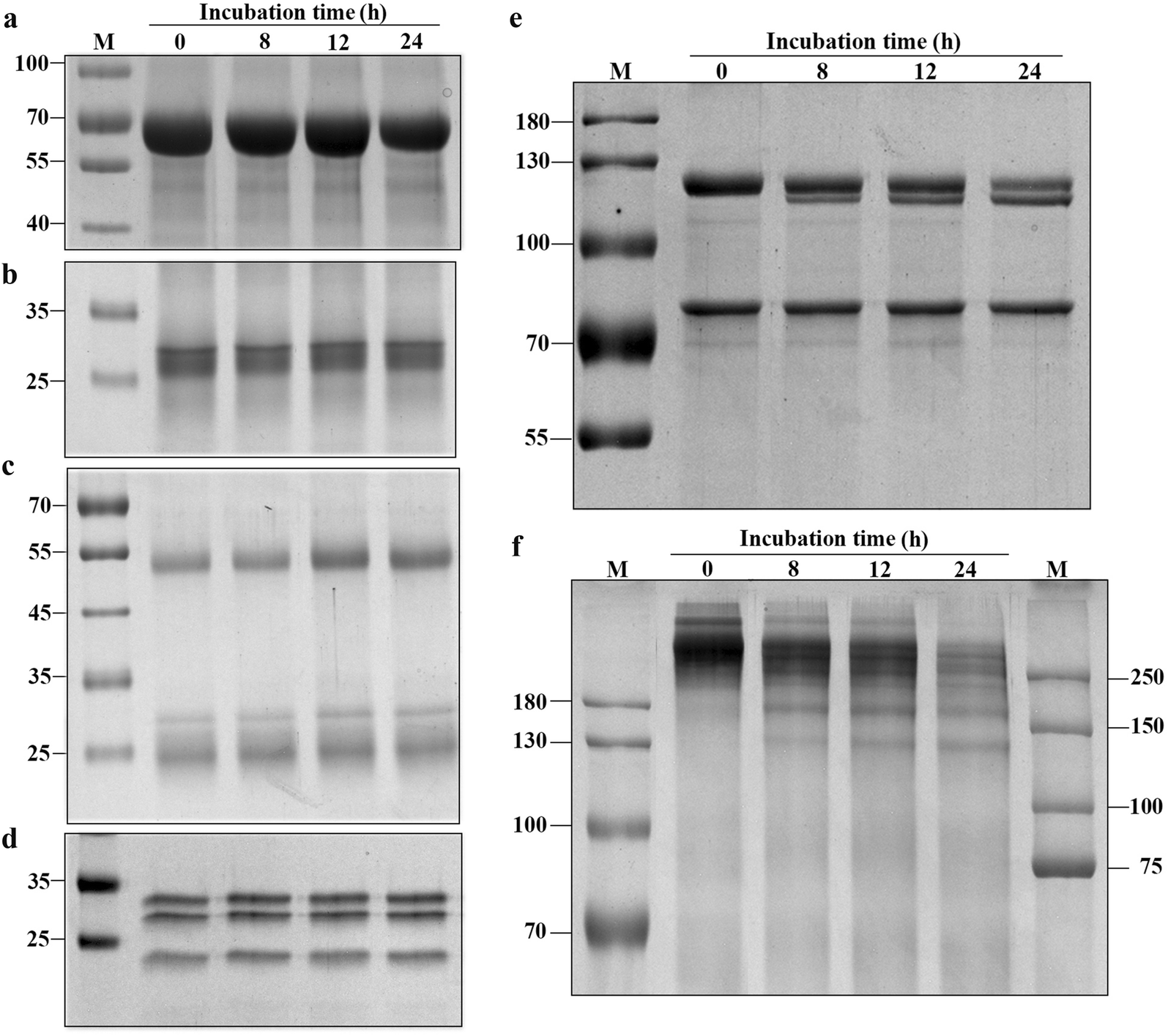 Fig. 8