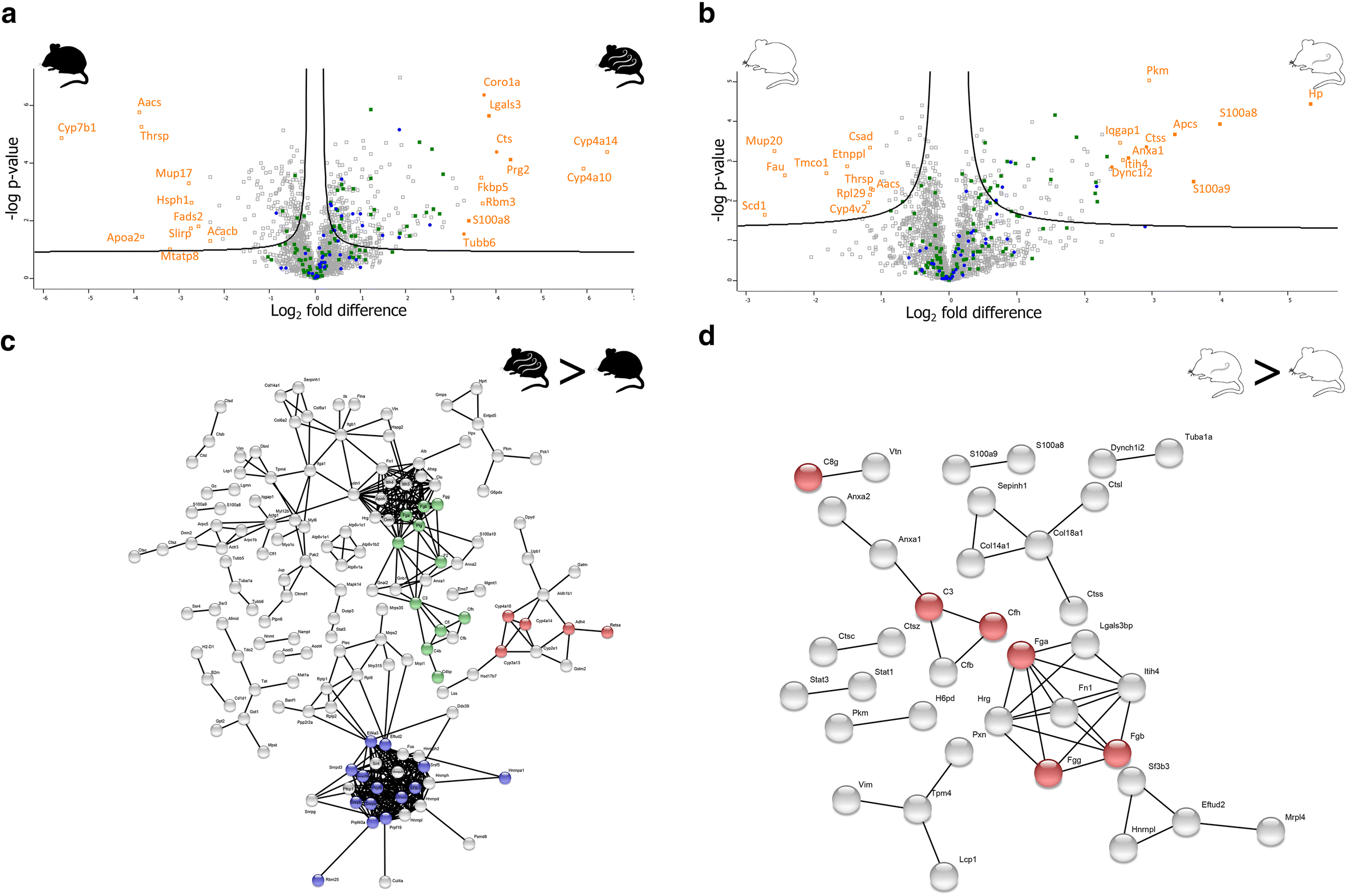 Fig. 4