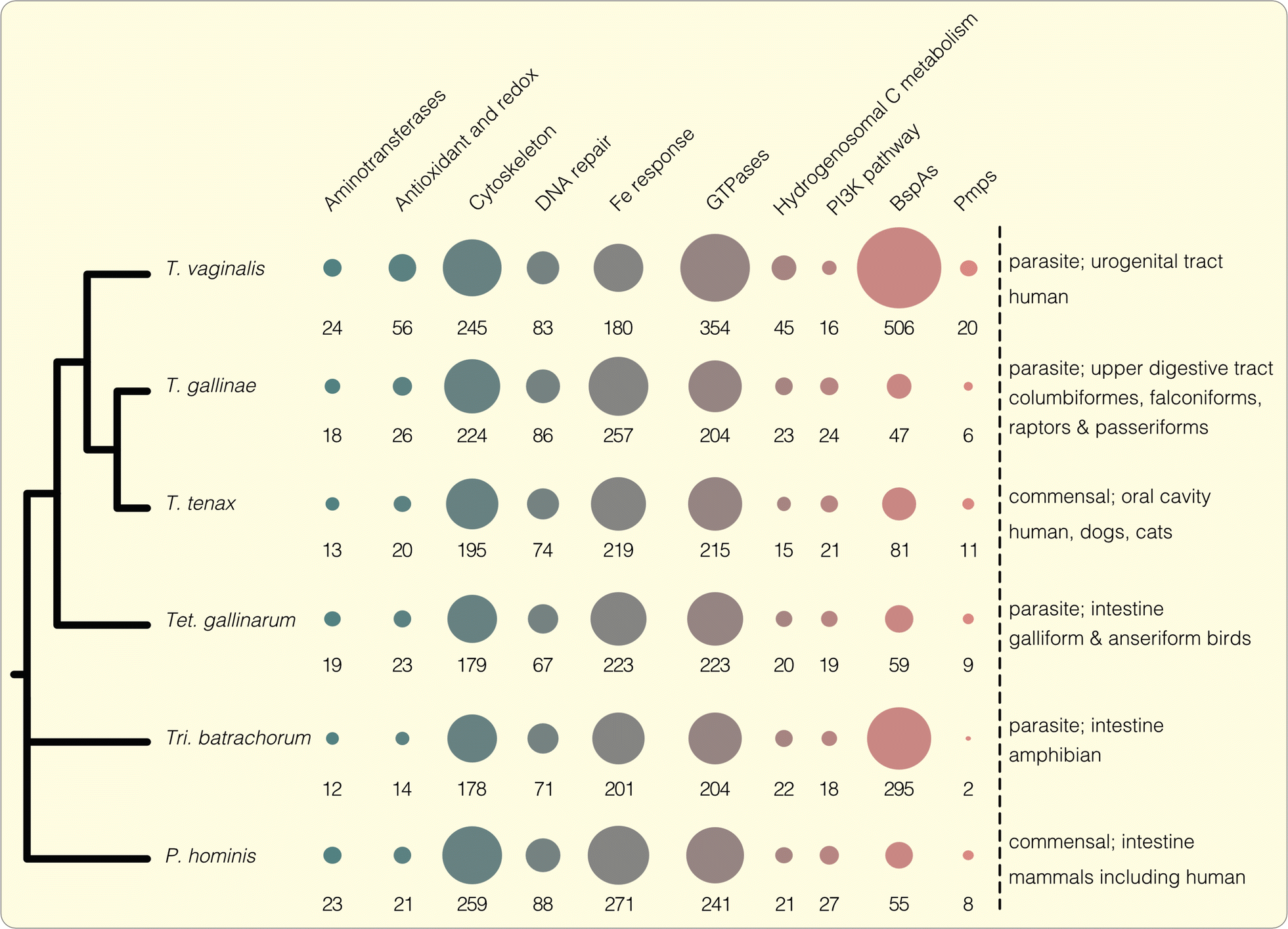 Fig. 1