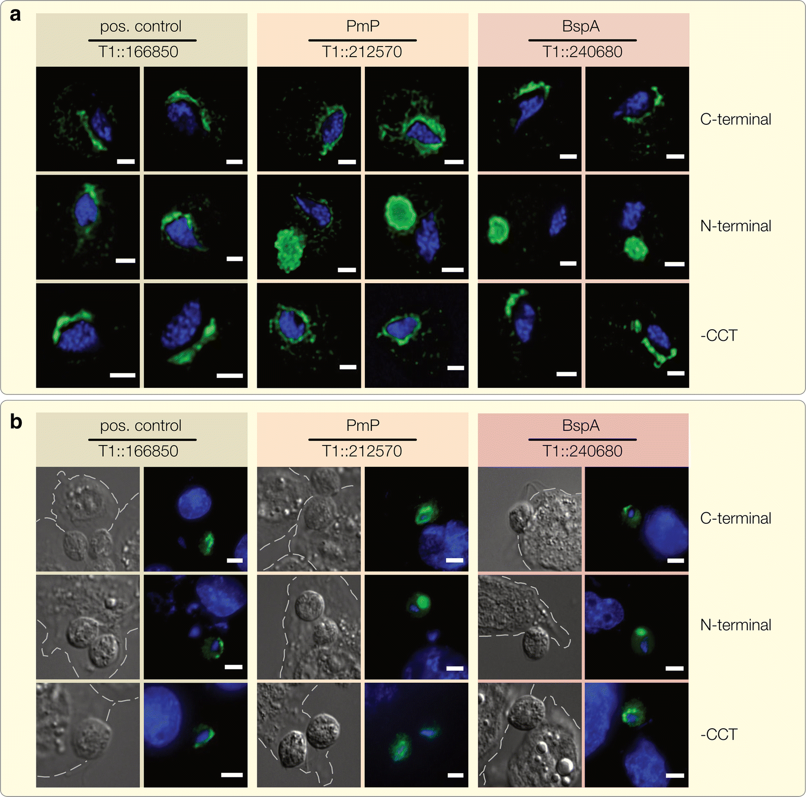 Fig. 5