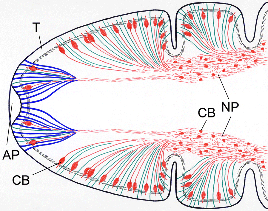 Fig. 4