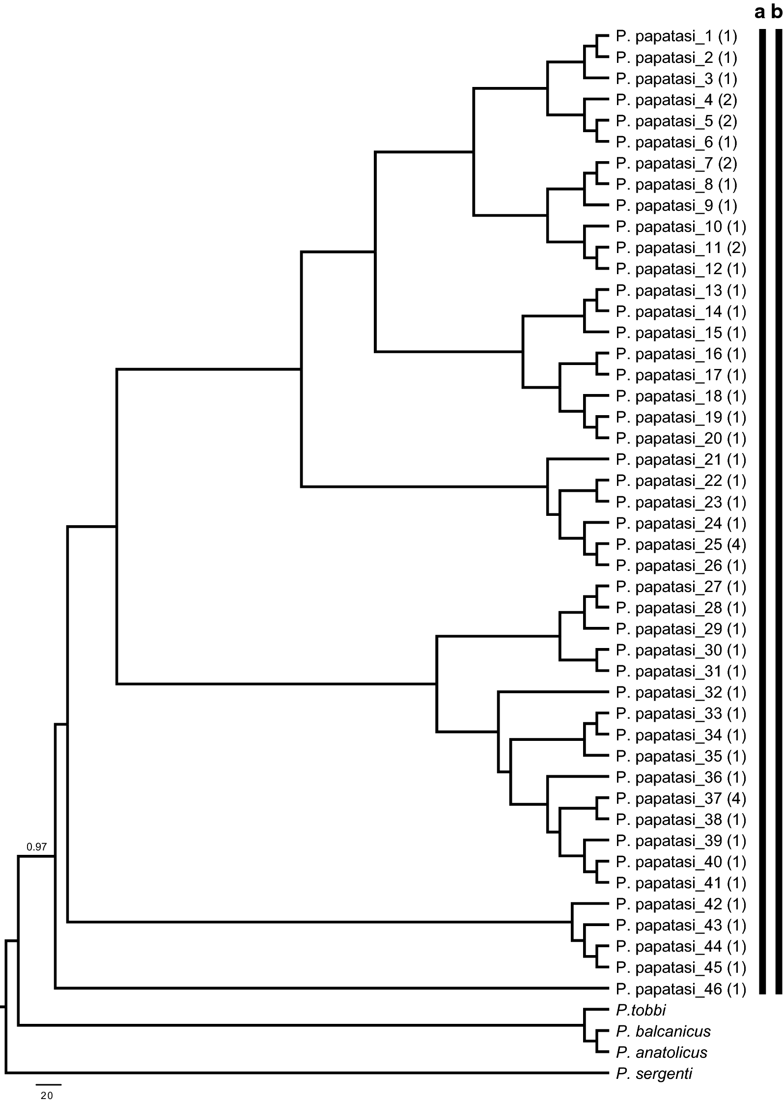 Fig. 2